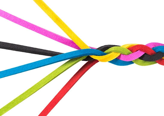 Intertwined lines close up, isolated on white, concept for teamwork, relationship, networking